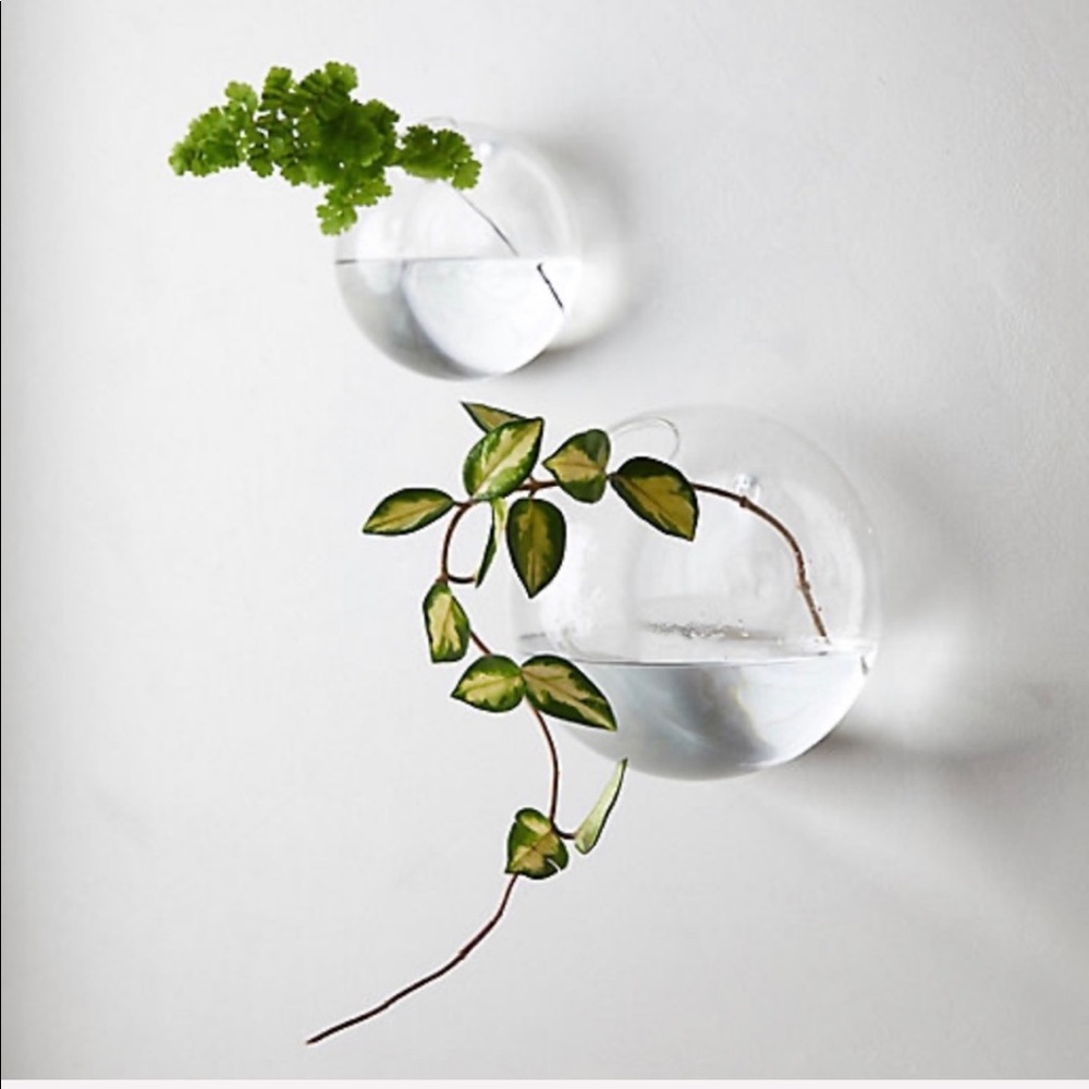 Terrain Wall Vase